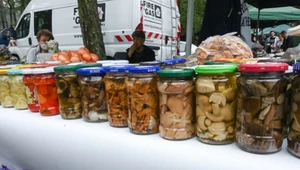 Skontrolowali przetwory z grzyby, większość nie spełniała norm