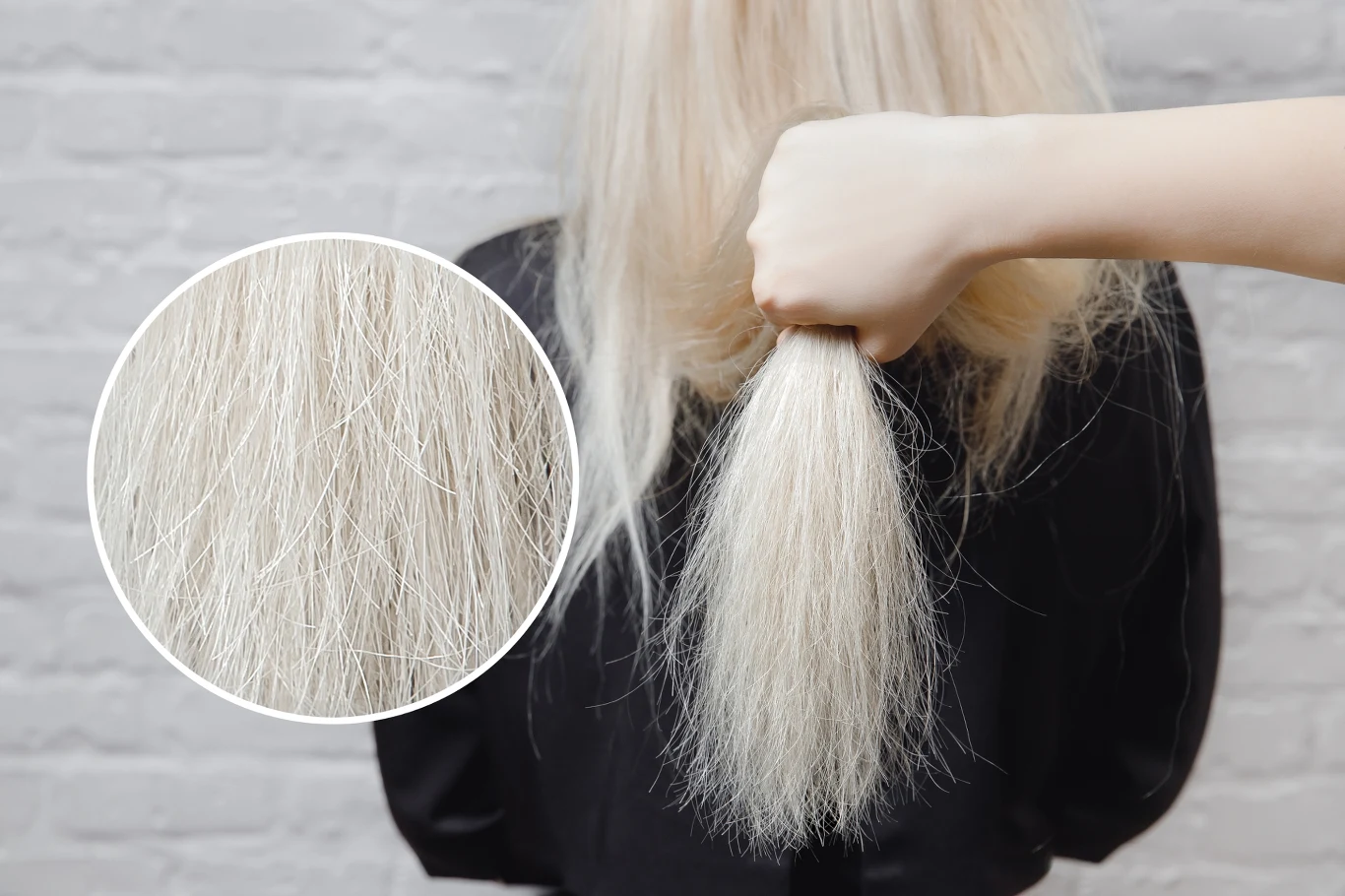 Jak odbudować zniszczone po rozjaśnianiu włosy? Jak odbudować zniszczone po rozjaśnianiu włosy?