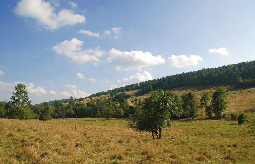 Widok na wieś Czarne