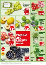 Mocny Start - Kaufland