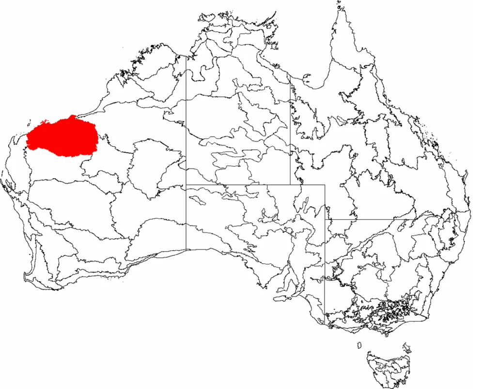 Współczesne położenie kratonu Pilbara na tle mapy Australii. 