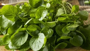 Najlepsza w rankingu najzdrowszych warzyw. Odmładza, wspiera wątrobę