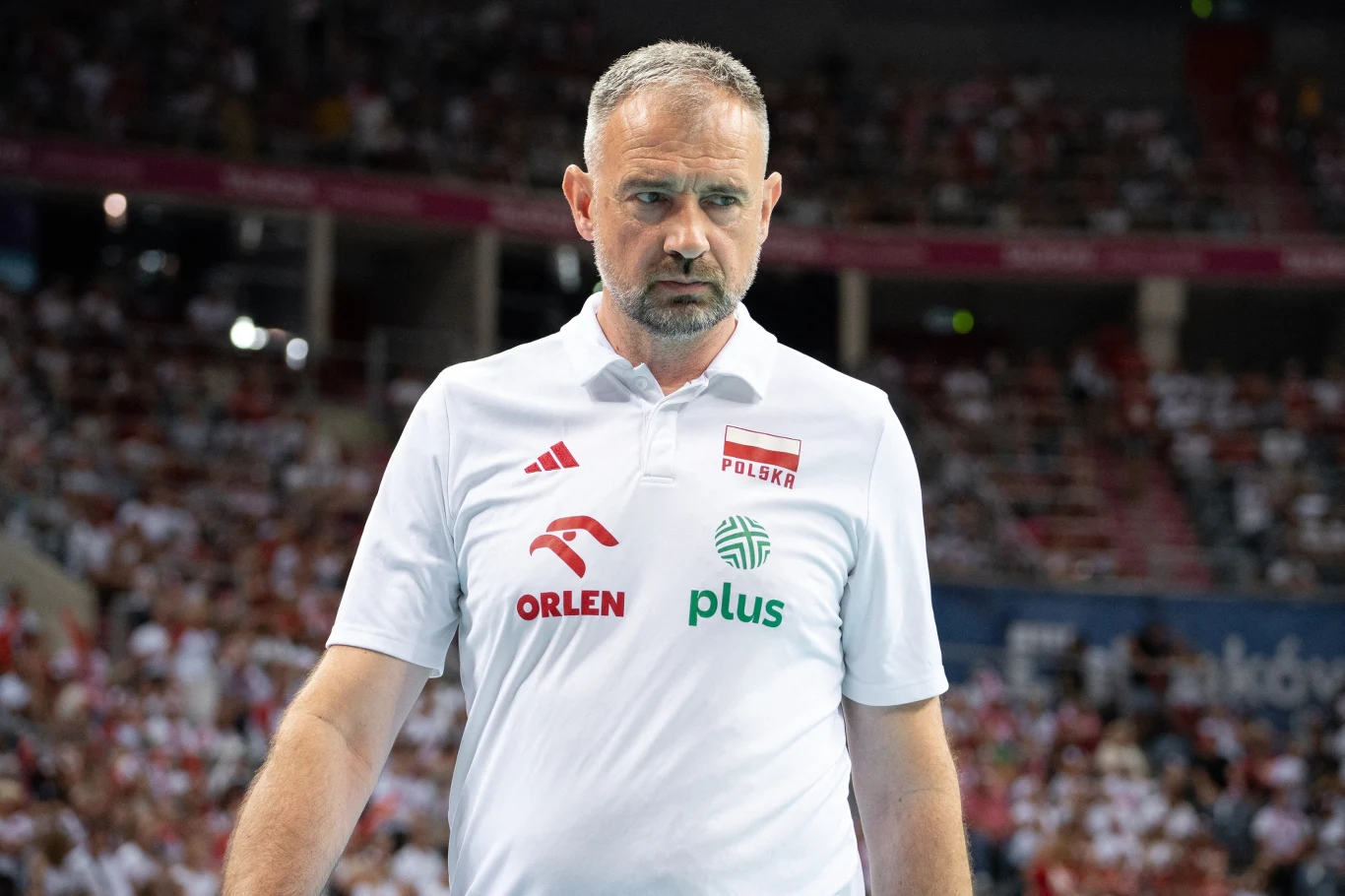 Nikola Grbić Nikola Grbić