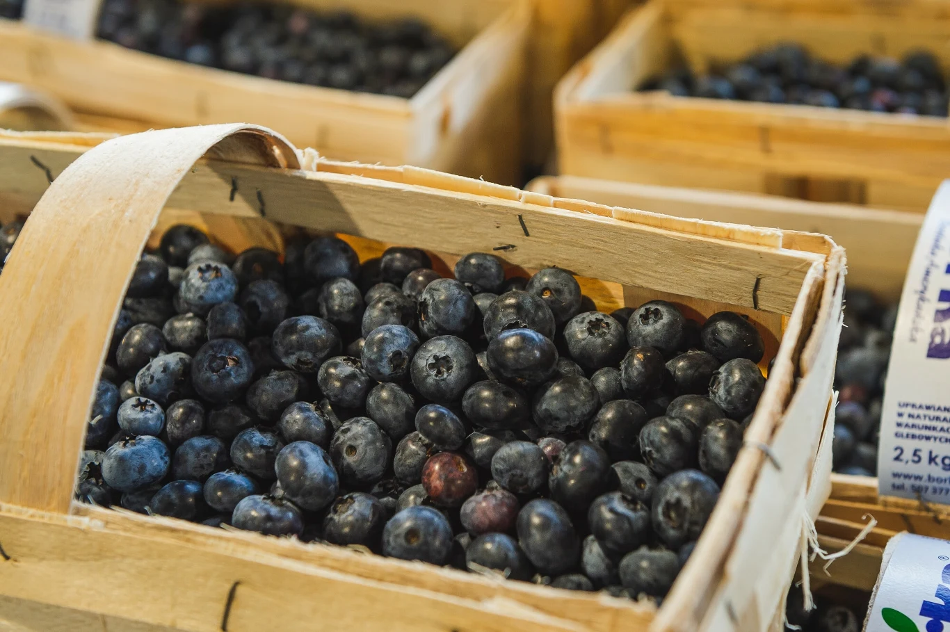 Jagody leśne są najdroższym owocem - obecnie ich cena wynosi nawet 36 złotych za kilogram. Jagody leśne są najdroższym owocem - obecnie ich cena wynosi nawet 36 złotych za kilogram.
