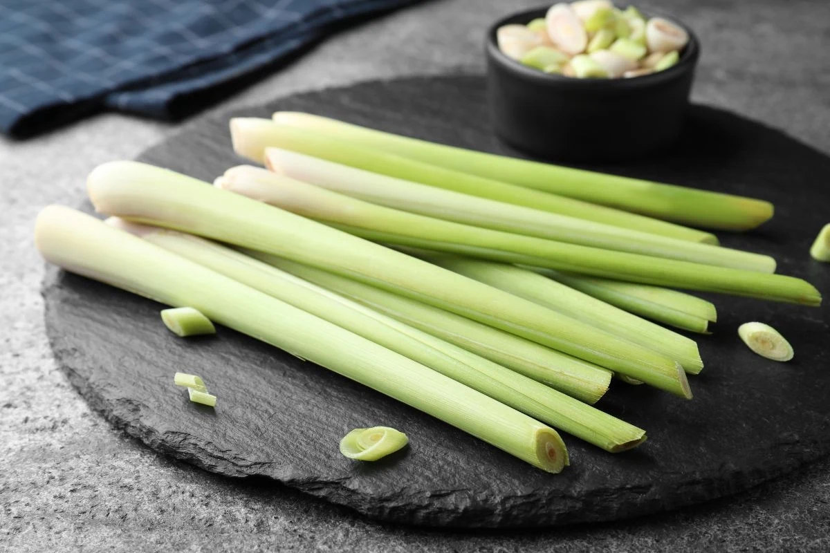 Łodygi trawy cytrynowej dodawaj do herbaty lub rosołu Łodygi trawy cytrynowej dodawaj do herbaty lub rosołu