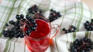 Sok z owoców aronii może hamować wchłanianie cukrów i pomaga usuwać toksyny z organizmu