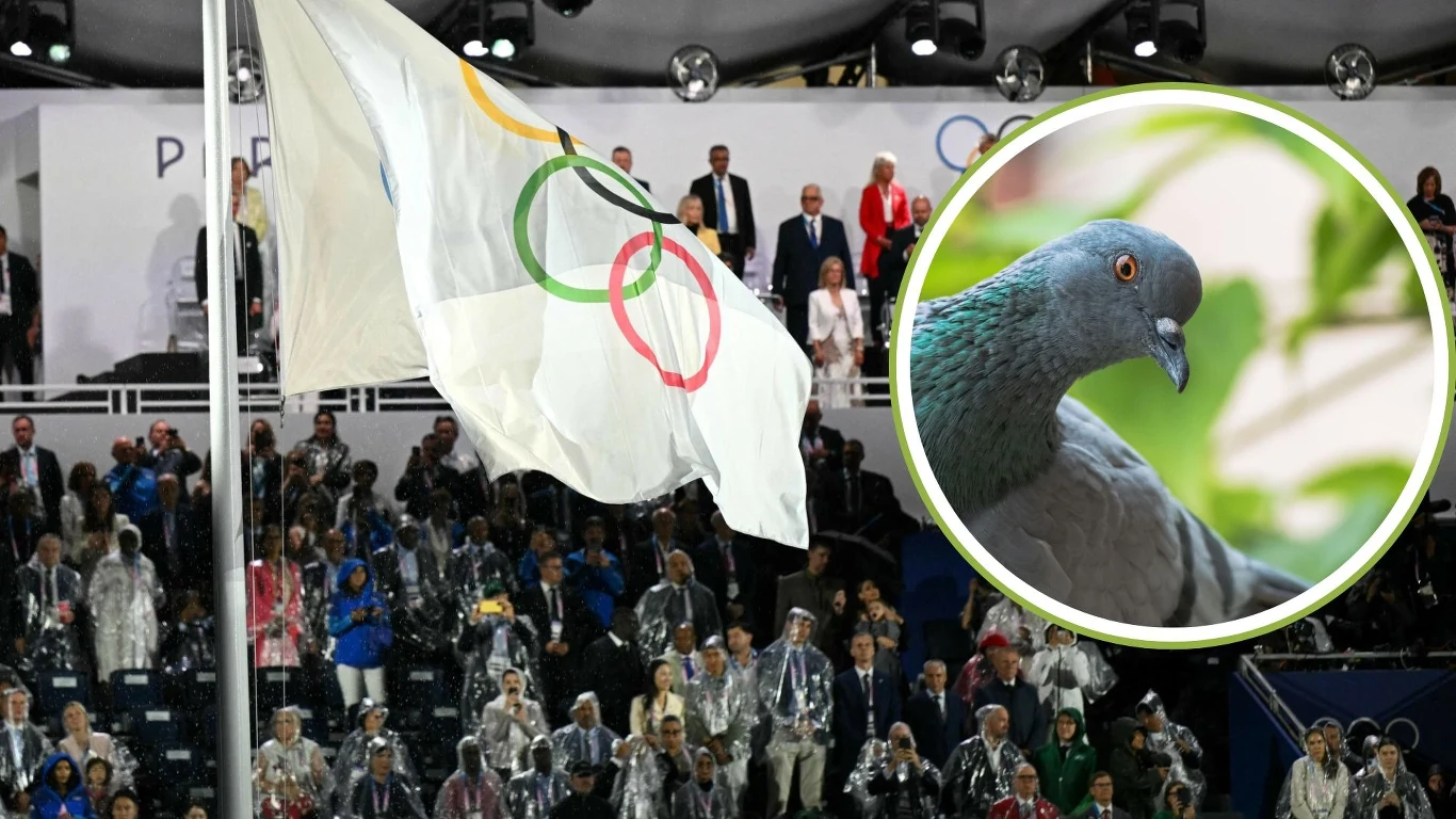 Strzelanie do żywych gołębi było konkurencją olimpijską Strzelanie do żywych gołębi było konkurencją olimpijską
