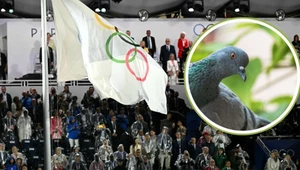 Strzelanie do żywych gołębi było konkurencją olimpijską