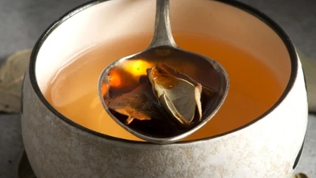 Napar z czystka warto pić podczas przeziębienia