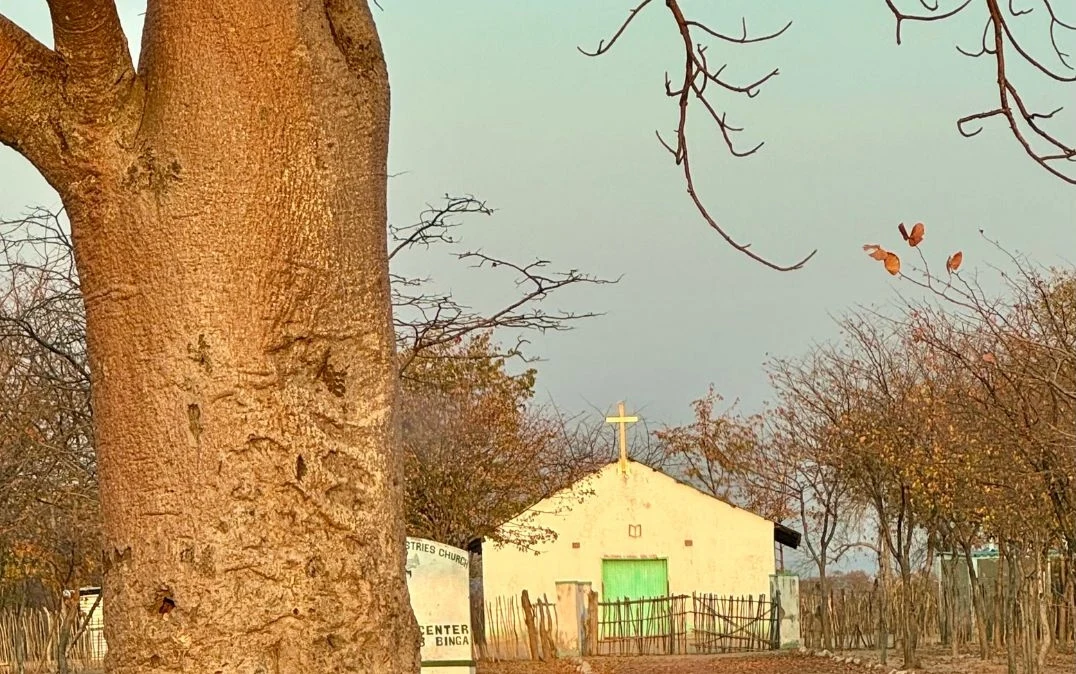 Baobaby są znacznie liczniejsze niż kościoły, ale razem z nimi występują bardzo rzadko.
