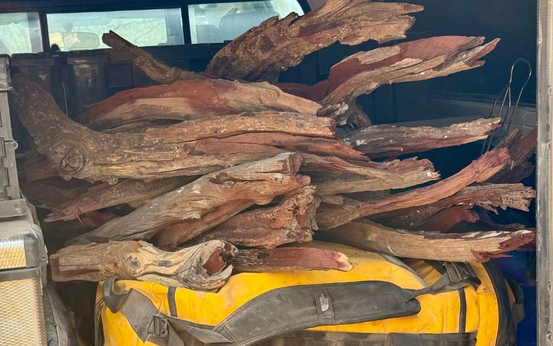 Nie ma dobrego ogniska w Afryce bez dobrego drewna