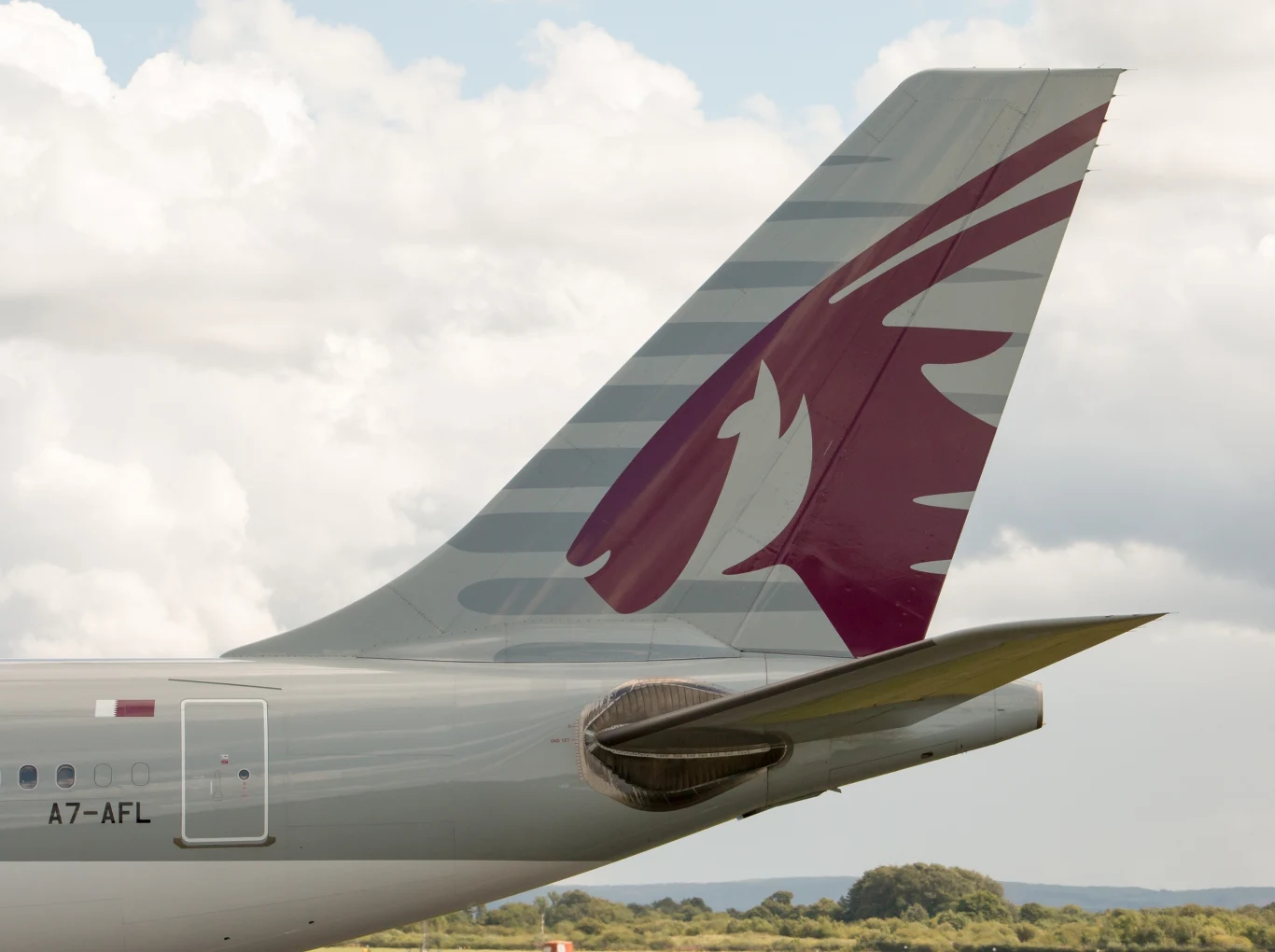 Oryks arabski na ogonie samolotu Qatar Airways