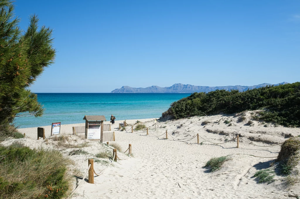 Playa de Muro to drobny piasek i krystalicznie czysta woda