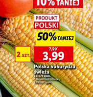 Kukurydza Polski