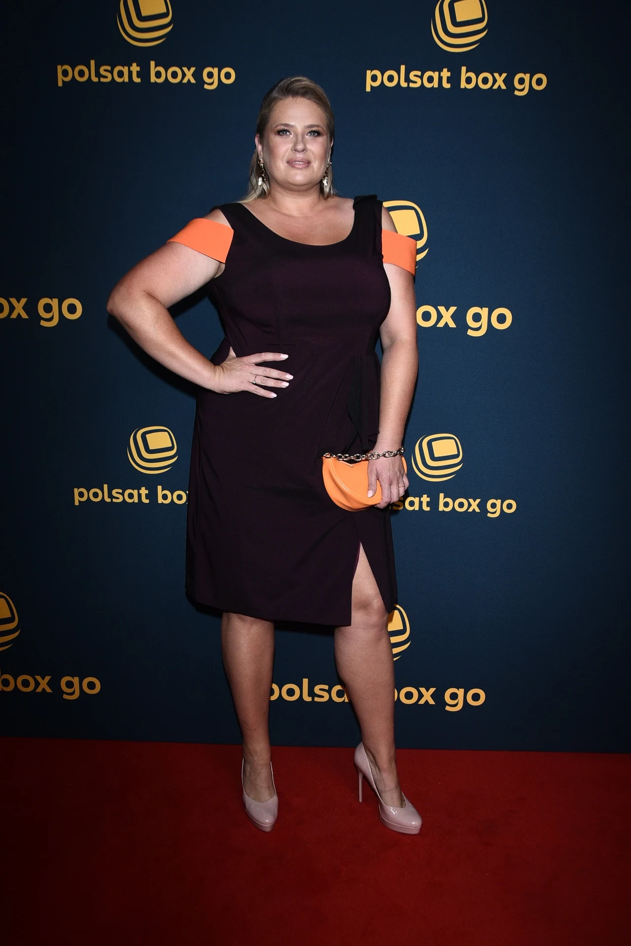 Elżbieta Romanowska, prowadząca "Naszego nowego domu" Elżbieta Romanowska, prowadząca "Naszego nowego domu"