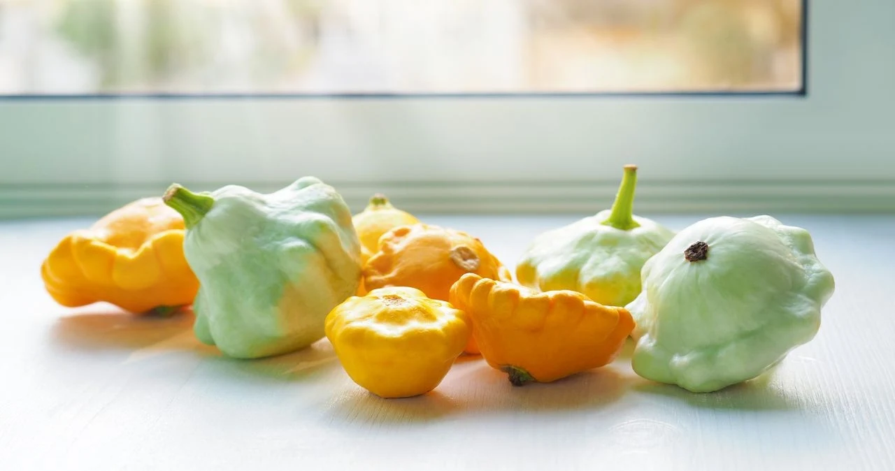 Kolor skórki patisonów może przybierać różne barwy, takie jak biały, żółty, zielony czy pasiasty. 