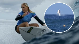 Wieloryb skradł show podczas półfinału pań na Tahiti