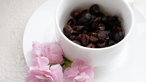 Napar z cascary to ciekawa propozycja dla tych, którzy poszukują napojów o podobnych właściwościach co kawa i herbata