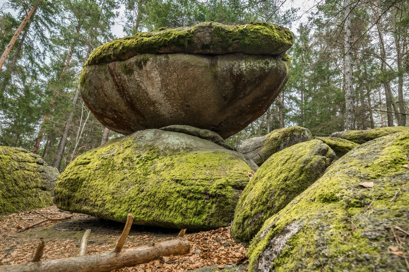 Głazy narzutowe są stałym elementem europejskiego i polskiego krajobrazu