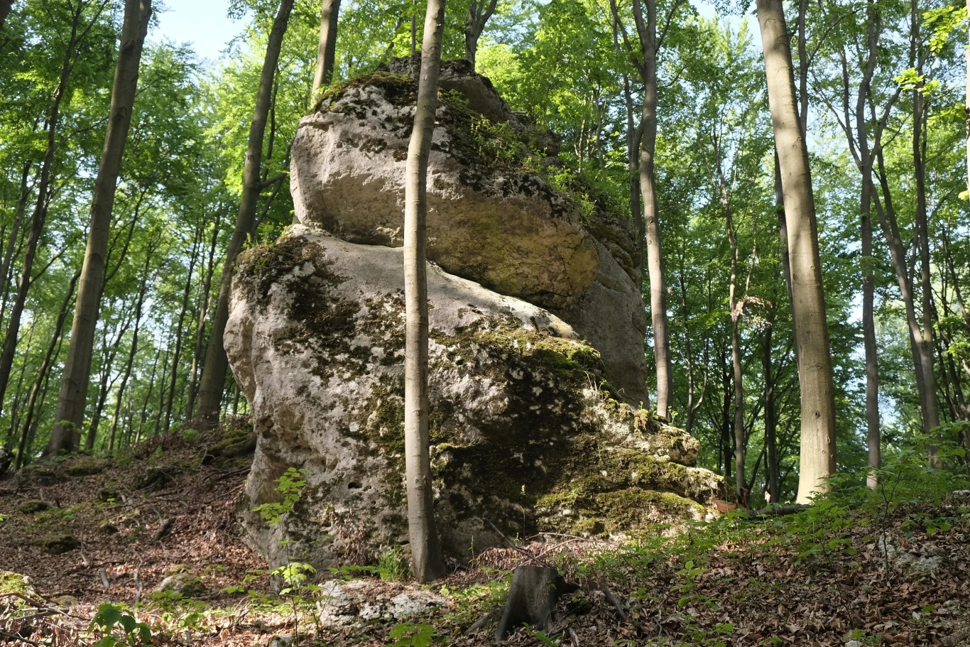 Pamiątka po epoce lodowcowej 