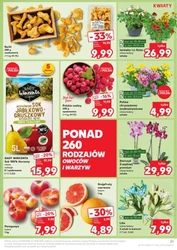 XXL promocje dla Ciebie - Kaufland