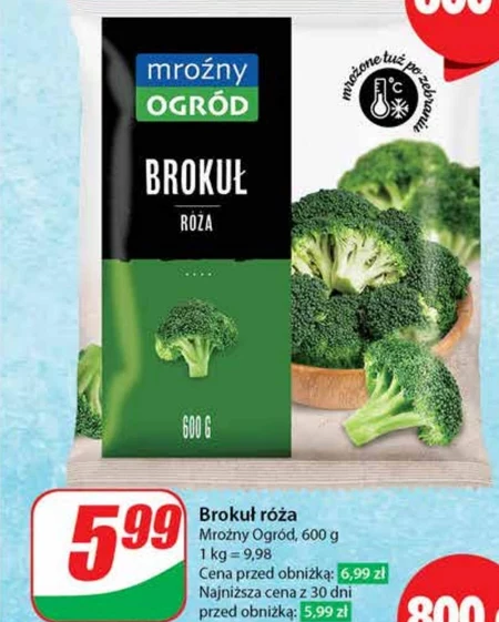 Brokuł Mroźny ogród