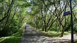 Akcja ratunkowa na Kopcu Powstania Warszawskiego