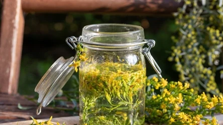 Ocet z nawłoci pomaga pozbyć się nadmiaru wody z organizmu 