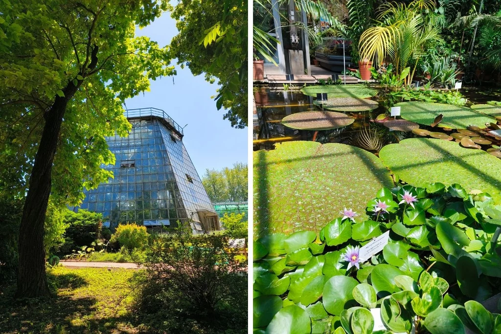 Krakowski Ogród Botaniczny jest czynny przez cały rok