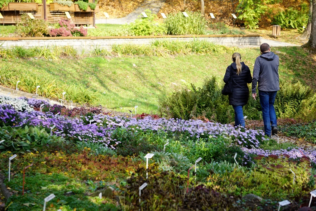 Ogród Botaniczny UMCS w Lublinie