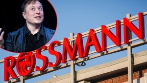 Rossmann i Tesla kończą współpracę. Bo Musk popiera Trumpa