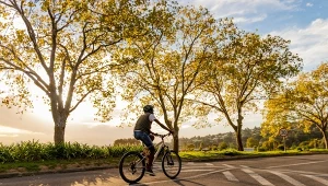 Jakie są podstawowe przepisy, które powinien znać każdy rowerzysta?