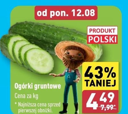 Огірки Polski