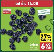 Jeżyny Polski