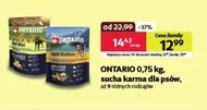 Karma dla psa Ontario