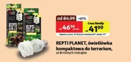 Świetlówka do terrarium Repti planet