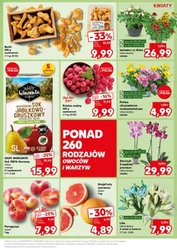 Mocny Start - Kaufland