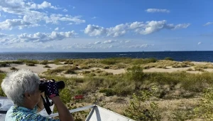 W tym miejscu w Gdańsku możesz spotkać foki. Mało znana, lecz piękna plaża