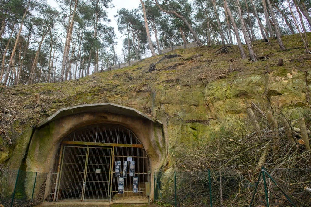 Niemcy. Teren byłego obozu Langenstein-Zwieberge sprzedany. Kupił go inwestor z branży nieruchomości Niemcy. Teren byłego obozu Langenstein-Zwieberge sprzedany. Kupił go inwestor z branży nieruchomości