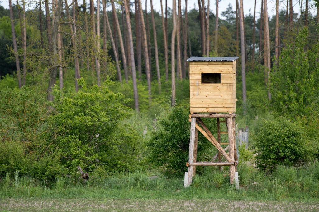 Z najnowszego sondażu opinii publicznej w zakresie poparcia społecznych postulatów reformy łowiectwa, przeprowadzonego na ogólnopolskiej, reprezentatywnej próbie Polek i Polaków wynika, że część Polaków chce zmian w zakresie polowań