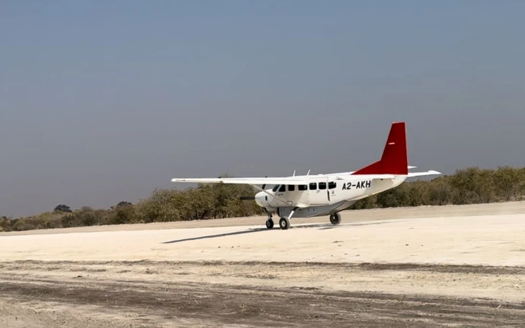 "Jeśli chcecie zobaczyć lwy, to są na pasie startowym" "Jeśli chcecie zobaczyć lwy, to są na pasie startowym"