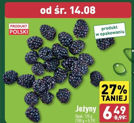 Jeżyny Polski