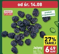 Jeżyny Polski