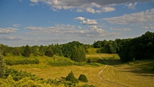 Tu znajduje się największy park miejski w Polsce. Jest nawet wodospad