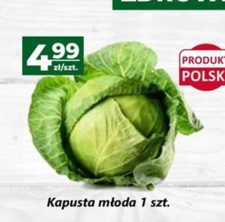 Kapusta młoda