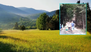 Wieża widokowa na Łysuli przyciąga tłumy turystów