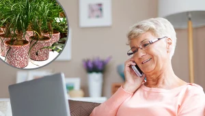 Chcesz kupić roślinę doniczkową online? Zwróć uwagę na te kwestie, by nie wyrzucić pieniędzy w błoto 