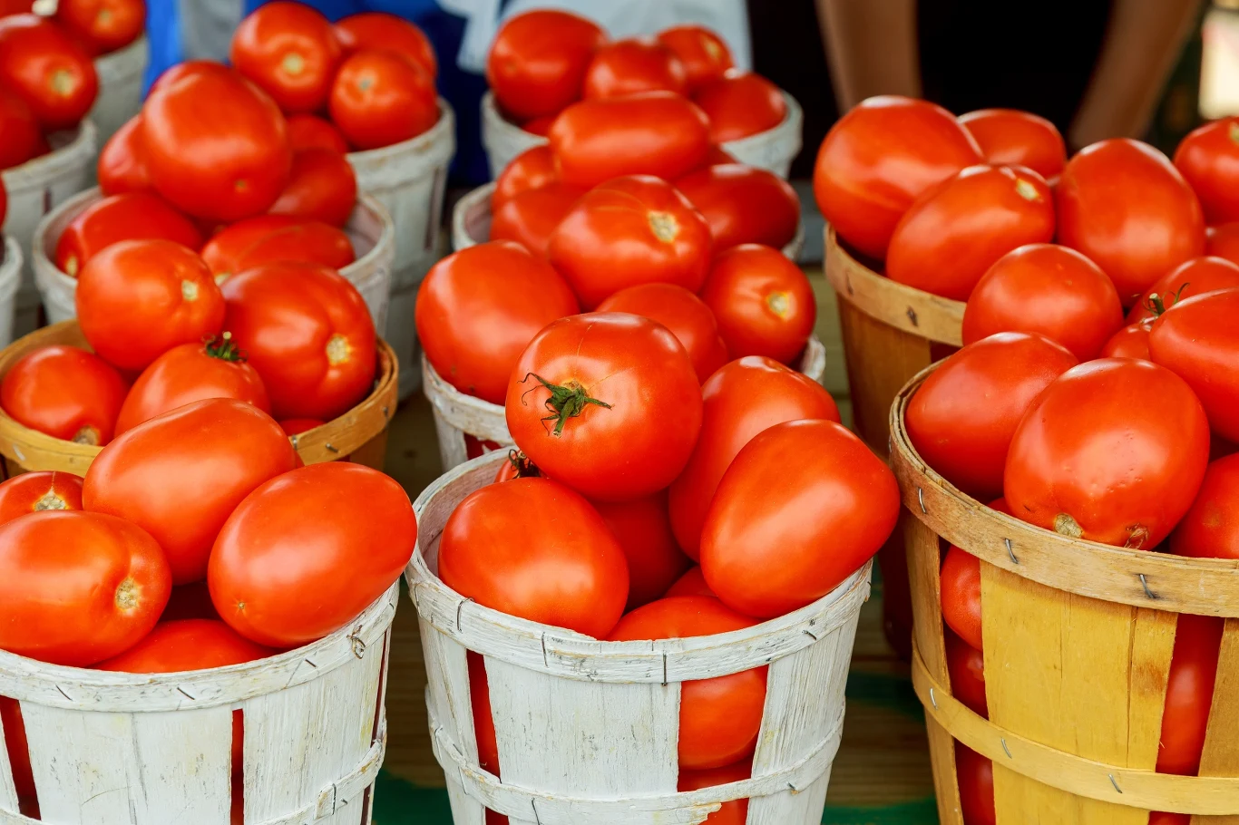 Pomidory przechowywane w koszyku wolniej się psują