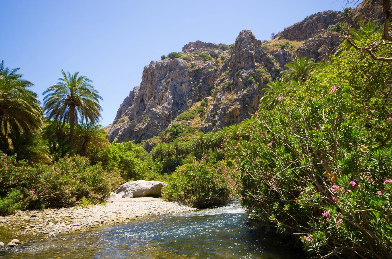 Plaża Preveli z bujnymi palmami to wyjątkowe miejsce na mapie Krety. Można się tutaj poczuć niczym na egzotycznych Karaibach. Dotrzeć nie jest jednak tak łatwo. 