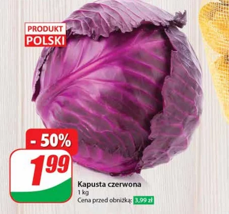 Kapusta czerwona Polski